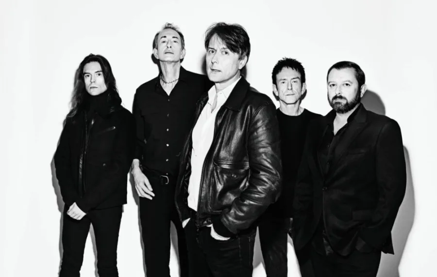 Suede_Antidepressants