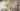 KERING_EYEWEAR_ACQUIERT_LE_FABRICANT_ITALIEN_LENTI