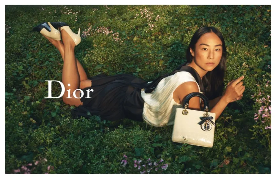 LADY DIOR CAMPAIGN 2025