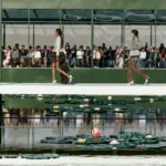 lvmh-dior